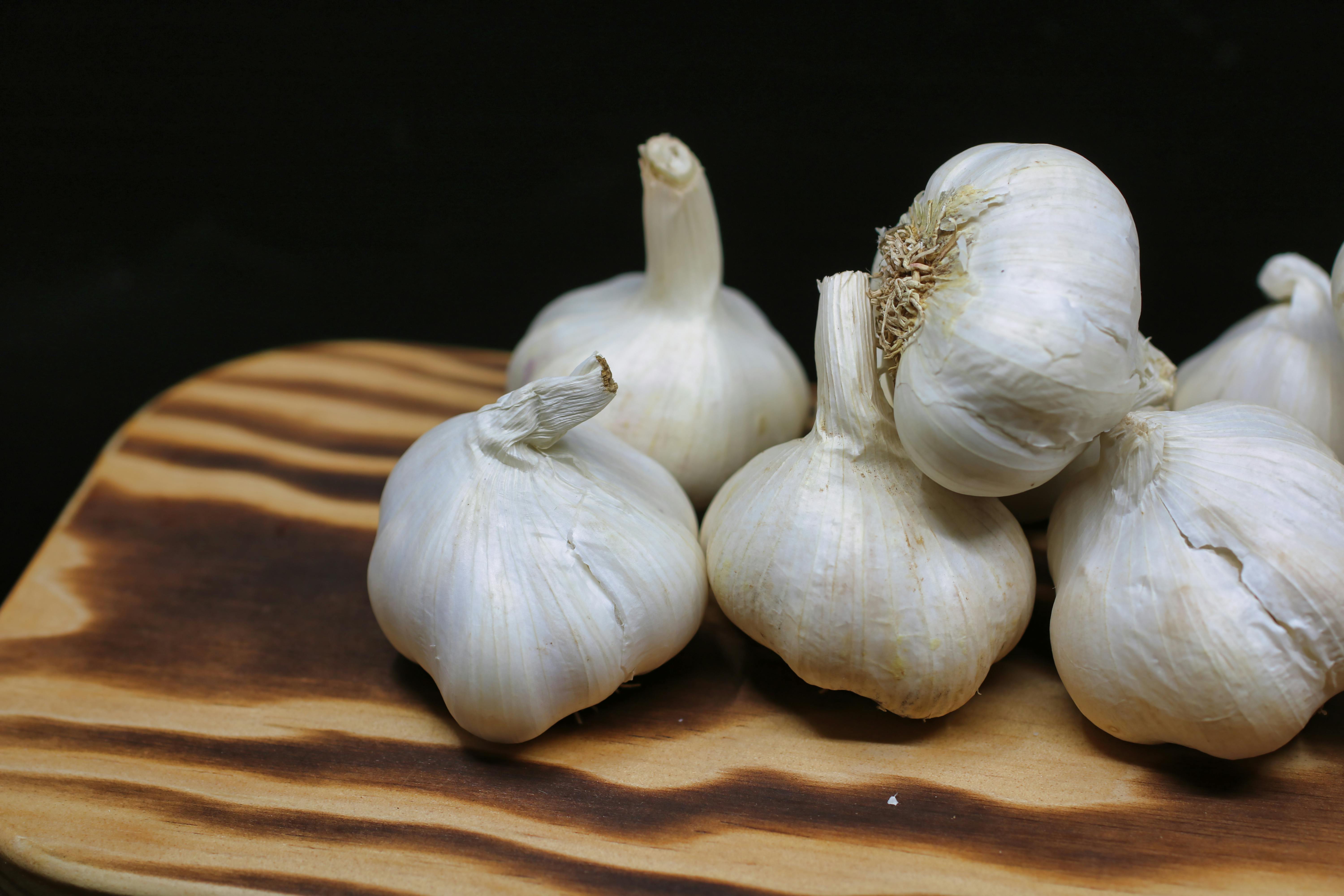 fresh garlic